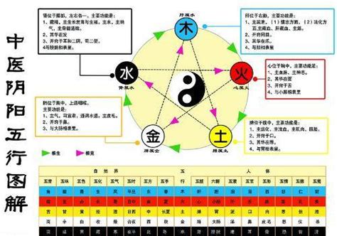 金生水意思